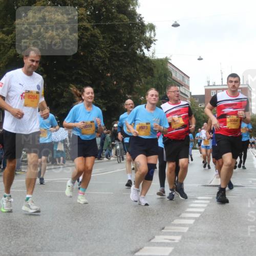 13.09.2026 - Kiel Lauf Markus Tischler http://msf.ph/oto/10323606 13.09.2026 11:00:35 Fleethörn 1, 300, 8204, 059, 1923, 8084, 5003 meine-sportfotos.de