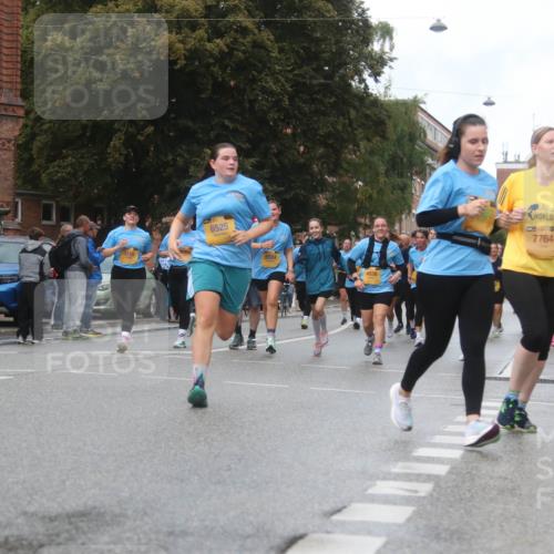 13.09.2026 - Kiel Lauf Markus Tischler http://msf.ph/oto/10323798 13.09.2026 11:01:12 Fleethörn 300, 6525, 5, 39, 7764 meine-sportfotos.de