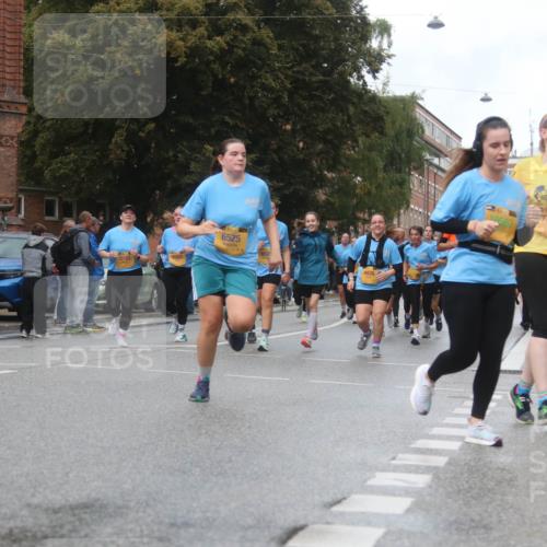 13.09.2026 - Kiel Lauf Markus Tischler http://msf.ph/oto/10323800 13.09.2026 11:01:12 Fleethörn 4, 6525, 10567, 7764 meine-sportfotos.de