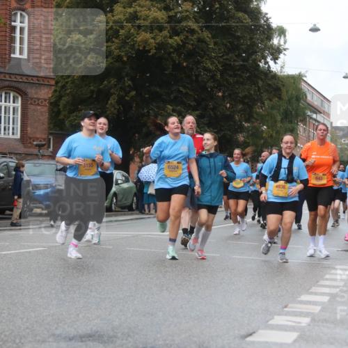 13.09.2026 - Kiel Lauf Markus Tischler http://msf.ph/oto/10323815 13.09.2026 11:01:14 Fleethörn 4444, 300, 3155, 6524, 4936, 643, 1089 meine-sportfotos.de
