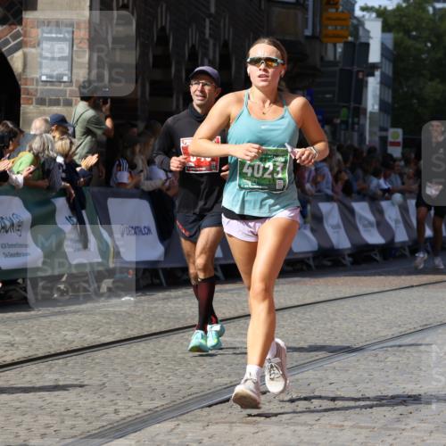 13.09.2026 - 21. swb-Marathon Bremen Strokosch-Dieckow http://msf.ph/oto/10324532 13.09.2026 13:10:51 Ziel 604, 640, 1181, 1277, 1554, 2605, 3959, 4727, 5066, 5152, 5532, 5620, 5648, 6267, 7881, 8033, 8709, 335, 697, 2021, 2759, 3647, 4475, 4571, 5079, 6471, 6657, 8183, 9410, 9622 meine-sportfotos.de