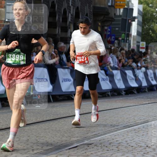 13.09.2026 - 21. swb-Marathon Bremen Strokosch-Dieckow http://msf.ph/oto/10325516 13.09.2026 13:11:23 Ziel 335, 697, 2021, 2759, 3440, 3448, 3484, 3647, 4429, 4475, 4571, 5079, 6471, 6657, 8183, 9410, 9622, 9762, 382, 7109, 8982 meine-sportfotos.de