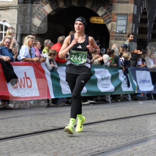 13.09.2026 - 21. swb-Marathon Bremen Strokosch-Dieckow http://msf.ph/oto/10326391 13.09.2026 13:11:59 Ziel 382, 4651, 5585, 6059, 7109, 8982, 8996, 13055, 493, 2447, 2820, 3336, 3703, 4283, 5940, 6107, 6739, 7521, 7621, 13013 meine-sportfotos.de