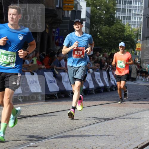13.09.2026 - 21. swb-Marathon Bremen Strokosch-Dieckow http://msf.ph/oto/10326859 13.09.2026 13:12:14 Ziel 493, 826, 863, 2444, 3336, 4368, 4651, 4698, 5521, 5585, 5893, 6668, 7621, 8996, 9398, 13055, 899, 1517, 2480, 3362, 3830, 4560, 7328, 8981 meine-sportfotos.de