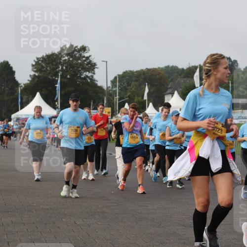 13.09.2026 - Kiel Lauf Andreas Tolksdorf http://msf.ph/oto/10328667 13.09.2026 09:29:52 Kiellinie 86, 8844, 7528, 175, 10434, 12390, 5023, 1333, 246, 12045, 4 meine-sportfotos.de