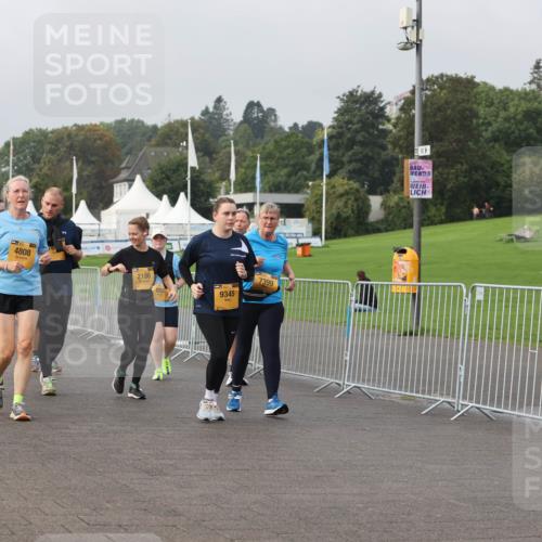 13.09.2026 - Kiel Lauf Andreas Tolksdorf http://msf.ph/oto/10330114 13.09.2026 09:31:34 Kiellinie 12749, 4808, 2186, 9345, 7399 meine-sportfotos.de