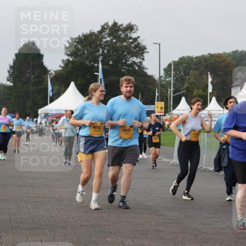 13.09.2026 - Kiel Lauf Andreas Tolksdorf http://msf.ph/oto/10330418 13.09.2026 09:32:08 Kiellinie 36, 4643, 4641, 1176, 293, 9087 meine-sportfotos.de