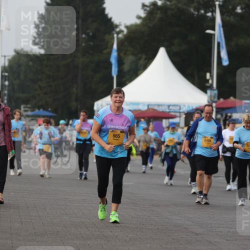 13.09.2026 - Kiel Lauf Andreas Tolksdorf http://msf.ph/oto/10331147 13.09.2026 09:33:42 Kiellinie 36, 39, 565, 6494, 4, 38, 11602, 3273 meine-sportfotos.de