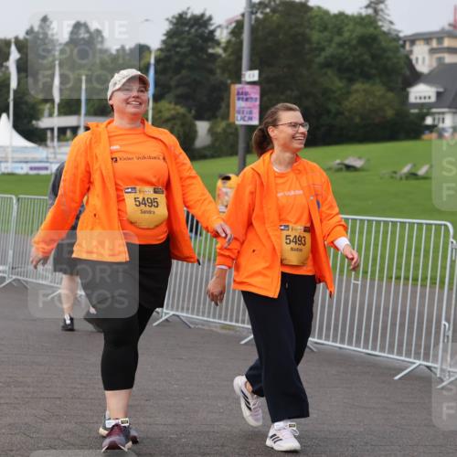 13.09.2026 - Kiel Lauf Andreas Tolksdorf http://msf.ph/oto/10331784 13.09.2026 09:35:21 Kiellinie 38, 5495, 39, 5493 meine-sportfotos.de