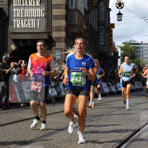 13.09.2026 - 21. swb-Marathon Bremen Strokosch-Dieckow http://msf.ph/oto/10332570 13.09.2026 13:25:45 Ziel 209, 260, 1119, 1650, 1658, 2046, 3168, 3187, 4294, 5755, 5814, 6113, 6380, 7252, 7306, 8357, 8545, 8695, 8769, 9036, 9299, 9460, 9468, 9506, 9563, 13025, 1163, 1647, 2033, 2062, 2708, 2987, 3248, 3722, 4067, 4161, 4411, 4476, 4842, 5013, 5558, 5622, 5701, 6135, 6605, 7638, 7780, 8271, 8361, 8592 meine-sportfotos.de