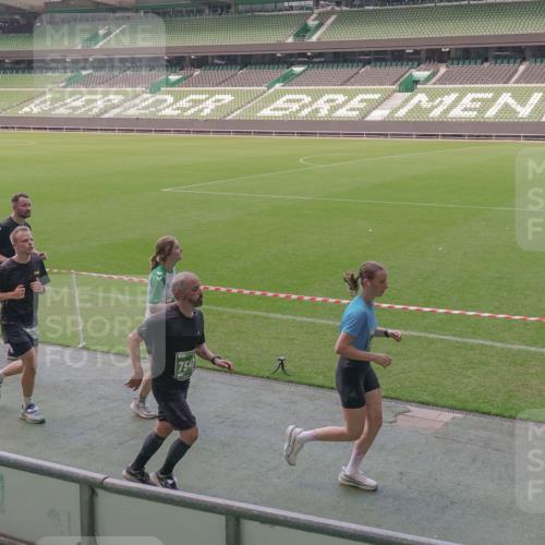 13.09.2026 - 21. swb-Marathon Bremen Michael Burmester http://msf.ph/oto/10335940 13.09.2026 13:11:08 Laufen im Stadion 164, 265, 373, 448, 581, 703, 843, 869, 984, 1113, 1180, 1435, 1738, 1849, 1851, 1855, 1867, 1894, 1936, 1952, 1967, 2202, 2232, 2248, 2268, 2281, 2284, 2299, 2330, 2333, 2339, 2342, 2353, 2375, 2426, 2432, 2443, 2530, 2531, 2553, 2573, 2589, 2654, 2659, 2669, 2682, 2714, 2717, 2784, 2785, 2804, 2819, 2822, 2836, 2907, 2920, 2932, 2976, 3026, 3027, 3063, 3079, 3082, 3086, 3089, 3122, 3159, 3174, 3207, 3208, 3291, 3328, 3349, 3352, 3370, 3409, 3410, 3470, 3549, 551 meine-sportfotos.de