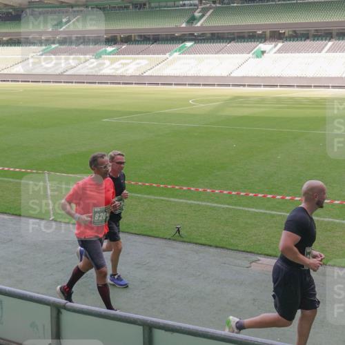 13.09.2026 - 21. swb-Marathon Bremen Michael Burmester http://msf.ph/oto/10336832 13.09.2026 13:12:50 Laufen im Stadion 118, 183, 270, 278, 349, 514, 576, 600, 695, 702, 703, 843, 933, 950, 1005, 1113, 1143, 1226, 1286, 1334, 1426, 1435, 1596, 1641, 1849, 1851, 1936, 1952, 1991, 2005, 2079, 2248, 2264, 2281, 2336, 2353, 2375, 2377, 2398, 2426, 2439, 2461, 2478, 2505, 2612, 2659, 2665, 2673, 2684, 2765, 2773, 2792, 2804, 2815, 2816, 2822, 2850, 2860, 2884, 2895, 2907, 2921, 2963, 2966, 2972, 2975, 2976, 3016, 3027, 3079, 3082, 3143, 3155, 3253, 3277, 3293, 3308, 3313, 3328, 3349, 3434 meine-sportfotos.de