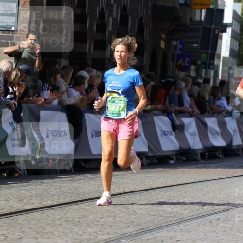 13.09.2026 - 21. swb-Marathon Bremen Strokosch-Dieckow http://msf.ph/oto/10337050 13.09.2026 13:18:49 Ziel 465, 1146, 1419, 2055, 2324, 2948, 3631, 4413, 4642, 5307, 5460, 6293, 6294, 6818, 7245, 7491, 7731, 8404, 8540, 8872, 9019, 9275, 13150, 307, 2007, 4916, 5277, 6310, 7154, 7602, 7647, 7686, 7791, 9512, 13184 meine-sportfotos.de