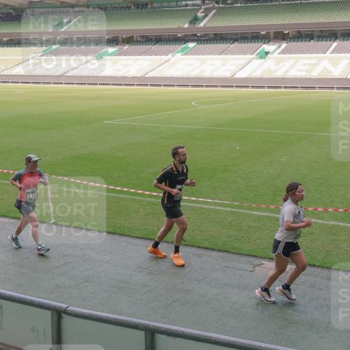 13.09.2026 - 21. swb-Marathon Bremen Michael Burmester http://msf.ph/oto/10337099 13.09.2026 13:13:29 Laufen im Stadion 118, 183, 270, 278, 349, 460, 514, 576, 600, 631, 695, 702, 933, 950, 1005, 1143, 1286, 1334, 1392, 1408, 1426, 1573, 1596, 1641, 1991, 2005, 2024, 2035, 2079, 2233, 2264, 2336, 2377, 2387, 2398, 2412, 2439, 2457, 2461, 2478, 2505, 2521, 2540, 2564, 2612, 2665, 2684, 2693, 2765, 2773, 2792, 2815, 2816, 2860, 2884, 2887, 2895, 2921, 2963, 2966, 2972, 2975, 3016, 3111, 3143, 3155, 3209, 3253, 3277, 3293, 3304, 3308, 3313, 3378, 3405, 3428, 3434, 3653, 3661 meine-sportfotos.de
