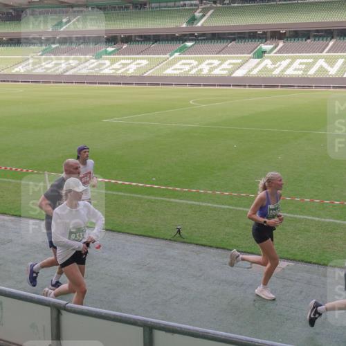 13.09.2026 - 21. swb-Marathon Bremen Michael Burmester http://msf.ph/oto/10338199 13.09.2026 13:15:48 Laufen im Stadion 143, 153, 231, 263, 266, 300, 414, 598, 612, 653, 1008, 1047, 1185, 1312, 1465, 1539, 1818, 1819, 1874, 2013, 2218, 2235, 2314, 2351, 2359, 2363, 2385, 2386, 2466, 2468, 2484, 2494, 2579, 2664, 2667, 2678, 2690, 2691, 2698, 2737, 2760, 2778, 2783, 2799, 2838, 2846, 2859, 2861, 2865, 2874, 2958, 2974, 2978, 3001, 3075, 3133, 3157, 3165, 3185, 3237, 3265, 3331, 3355, 3382, 3387, 3486, 3512, 3670, 3680, 3829, 3847, 4034, 4080, 4511 meine-sportfotos.de