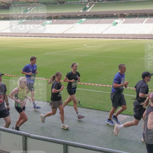 13.09.2026 - 21. swb-Marathon Bremen Michael Burmester http://msf.ph/oto/10338346 13.09.2026 13:16:01 Laufen im Stadion 134, 143, 153, 231, 263, 266, 271, 300, 414, 598, 612, 653, 990, 1047, 1185, 1312, 1465, 1539, 1825, 1874, 2013, 2218, 2235, 2259, 2351, 2359, 2363, 2381, 2385, 2386, 2466, 2468, 2484, 2494, 2562, 2579, 2664, 2667, 2678, 2690, 2691, 2698, 2737, 2760, 2778, 2783, 2797, 2799, 2846, 2859, 2861, 2865, 2874, 2958, 2974, 2996, 3001, 3075, 3133, 3157, 3165, 3185, 3237, 3265, 3331, 3355, 3366, 3382, 3387, 3486, 3501, 3512, 3670, 3680, 3829, 3847, 4034, 4080, 4511 meine-sportfotos.de