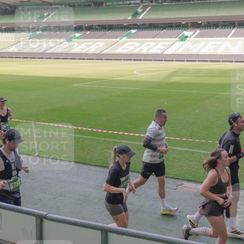 13.09.2026 - 21. swb-Marathon Bremen Michael Burmester http://msf.ph/oto/10338691 13.09.2026 13:16:54 Laufen im Stadion 134, 143, 153, 231, 267, 271, 449, 588, 598, 612, 653, 990, 1057, 1185, 1312, 1424, 1425, 1465, 1539, 1790, 1813, 1825, 1874, 1987, 2013, 2067, 2096, 2218, 2259, 2351, 2363, 2381, 2386, 2389, 2419, 2468, 2532, 2550, 2562, 2579, 2586, 2601, 2655, 2664, 2678, 2698, 2778, 2797, 2799, 2821, 2846, 2874, 2974, 2984, 2996, 3001, 3075, 3104, 3133, 3165, 3180, 3195, 3213, 3237, 3265, 3314, 3331, 3337, 3366, 3382, 3387, 3421, 3431, 3479, 3486, 3501, 3506, 3512 meine-sportfotos.de