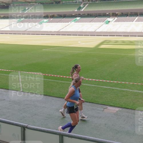 13.09.2026 - 21. swb-Marathon Bremen Michael Burmester http://msf.ph/oto/10338902 13.09.2026 13:17:24 Laufen im Stadion 134, 153, 231, 267, 271, 311, 404, 449, 588, 612, 732, 753, 837, 990, 1057, 1185, 1312, 1424, 1425, 1465, 1539, 1790, 1813, 1825, 1844, 1868, 1987, 2056, 2067, 2096, 2259, 2351, 2357, 2358, 2363, 2381, 2389, 2419, 2532, 2550, 2562, 2579, 2586, 2601, 2647, 2655, 2664, 2698, 2778, 2797, 2799, 2821, 2846, 2880, 2893, 2974, 2984, 2996, 3104, 3133, 3146, 3180, 3195, 3210, 3213, 3314, 3331, 3337, 3366, 3387, 3421, 3431, 3476, 3479, 3501, 3506, 3537, 3548, 3633, 3654 meine-sportfotos.de