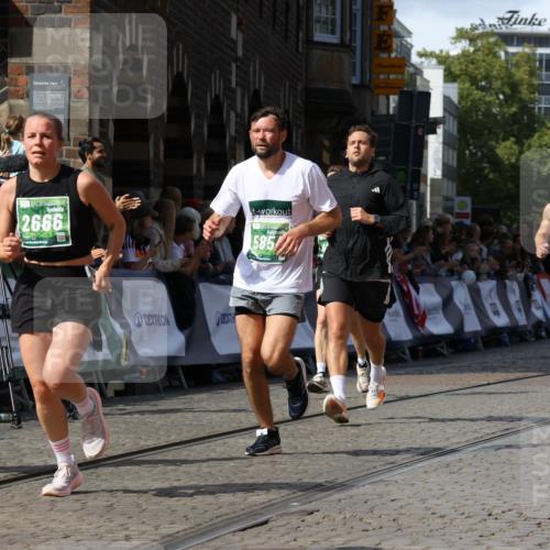 13.09.2026 - 21. swb-Marathon Bremen Strokosch-Dieckow http://msf.ph/oto/10339411 13.09.2026 13:26:04 Ziel 150, 191, 1163, 1458, 1647, 1752, 2033, 2421, 2781, 2987, 3124, 3186, 3722, 3806, 4161, 4411, 4439, 4717, 4842, 4927, 5013, 5139, 5622, 5703, 6135, 7780, 8271, 8545, 8597, 8890, 9440, 9506, 1896, 2434, 2666, 3983, 4723, 4724, 5854, 5906, 5934, 6886, 8635, 8817 meine-sportfotos.de
