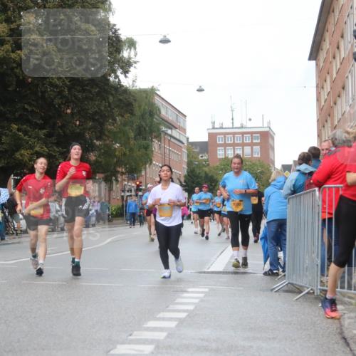 13.09.2026 - Kiel Lauf Markus Tischler http://msf.ph/oto/10339579 13.09.2026 11:02:10 Fleethörn 9330, 9815 meine-sportfotos.de