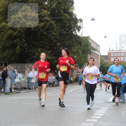 13.09.2026 - Kiel Lauf Markus Tischler http://msf.ph/oto/10339584 13.09.2026 11:02:11 Fleethörn 10679, 9330 meine-sportfotos.de