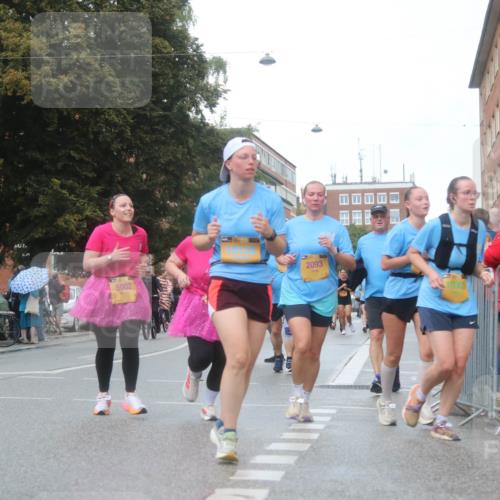 13.09.2026 - Kiel Lauf Markus Tischler http://msf.ph/oto/10339629 13.09.2026 11:02:21 Fleethörn 2093, 5002, 10003 meine-sportfotos.de