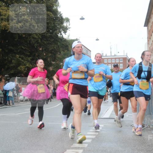 13.09.2026 - Kiel Lauf Markus Tischler http://msf.ph/oto/10339632 13.09.2026 11:02:22 Fleethörn 5002, 2093, 10003 meine-sportfotos.de