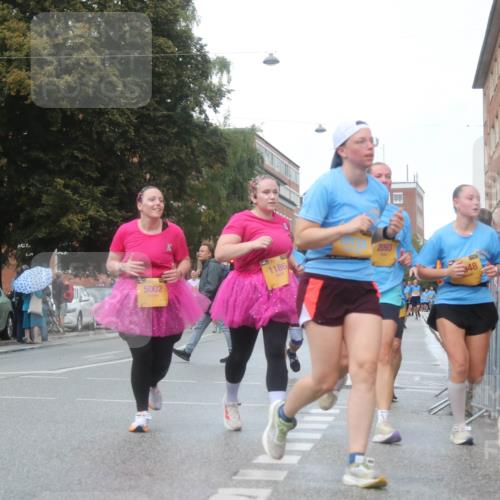 13.09.2026 - Kiel Lauf Markus Tischler http://msf.ph/oto/10339636 13.09.2026 11:02:22 Fleethörn 5002, 1186, 2093, 348 meine-sportfotos.de