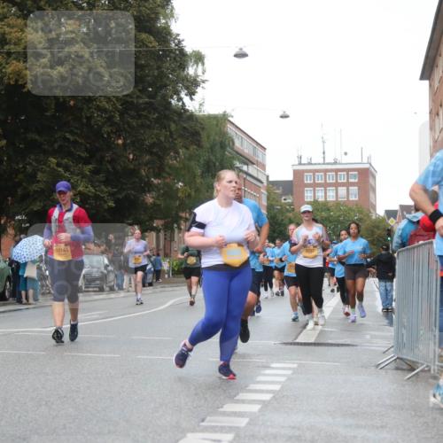 13.09.2026 - Kiel Lauf Markus Tischler http://msf.ph/oto/10339868 13.09.2026 11:03:11 Fleethörn 10143, 9016 meine-sportfotos.de