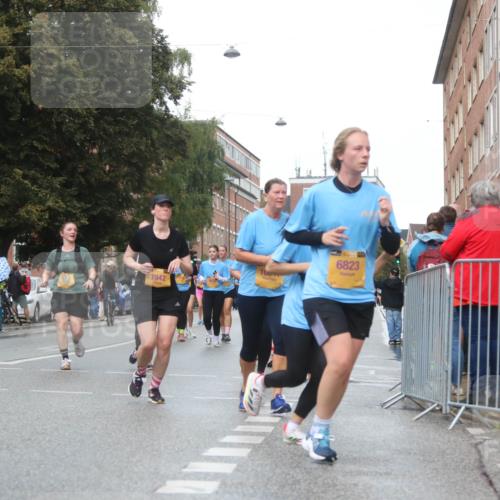 13.09.2026 - Kiel Lauf Markus Tischler http://msf.ph/oto/10339895 13.09.2026 11:03:18 Fleethörn 4058, 7942, 6823 meine-sportfotos.de