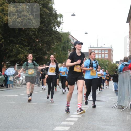 13.09.2026 - Kiel Lauf Markus Tischler http://msf.ph/oto/10339902 13.09.2026 11:03:19 Fleethörn 4058, 3201, 022, 7942, 3618, 10841 meine-sportfotos.de