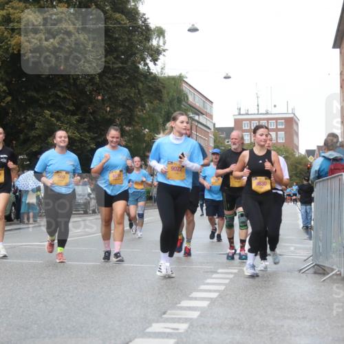 13.09.2026 - Kiel Lauf Markus Tischler http://msf.ph/oto/10339915 13.09.2026 11:03:24 Fleethörn 5229, 8295, 560, 4614, 11372, 9022, 9830 meine-sportfotos.de