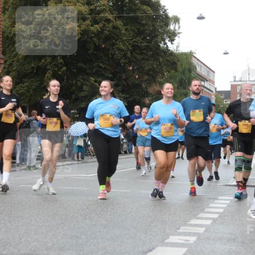 13.09.2026 - Kiel Lauf Markus Tischler http://msf.ph/oto/10339929 13.09.2026 11:03:26 Fleethörn 5229, 8295, 59, 560, 4614, 11372, 799, 322 meine-sportfotos.de