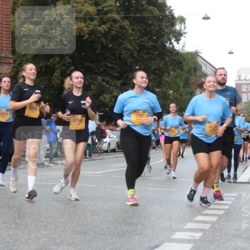 13.09.2026 - Kiel Lauf Markus Tischler http://msf.ph/oto/10339936 13.09.2026 11:03:26 Fleethörn 5229, 560, 12649, 8295, 799, 4614, 1111 meine-sportfotos.de