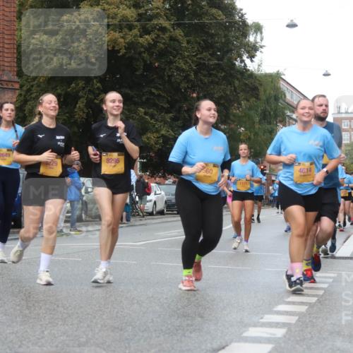 13.09.2026 - Kiel Lauf Markus Tischler http://msf.ph/oto/10339939 13.09.2026 11:03:26 Fleethörn 39, 12649, 8295, 0229, 560, 1111, 4614, 799 meine-sportfotos.de