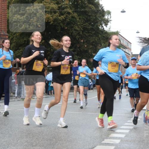 13.09.2026 - Kiel Lauf Markus Tischler http://msf.ph/oto/10339947 13.09.2026 11:03:27 Fleethörn 560, 12649, 5229, 461, 8295 meine-sportfotos.de