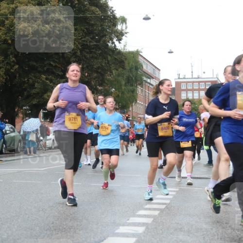 13.09.2026 - Kiel Lauf Markus Tischler http://msf.ph/oto/10340003 13.09.2026 11:03:45 Fleethörn 9781, 6754, 8400, 10545 meine-sportfotos.de
