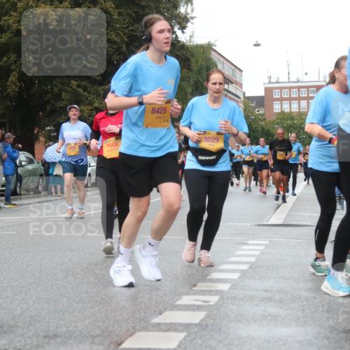 13.09.2026 - Kiel Lauf Markus Tischler http://msf.ph/oto/10340045 13.09.2026 11:03:51 Fleethörn 4095, 7008, 8429, 8029, 4683 meine-sportfotos.de