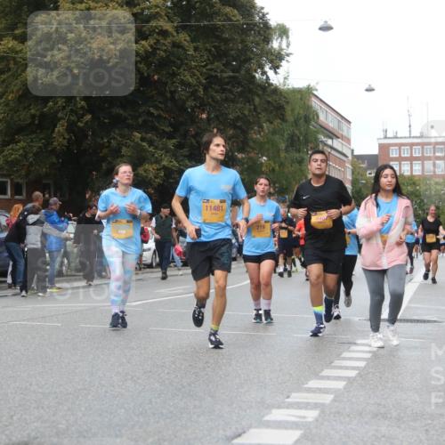 13.09.2026 - Kiel Lauf Markus Tischler http://msf.ph/oto/10340122 13.09.2026 11:04:07 Fleethörn 11481, 219, 9461 meine-sportfotos.de