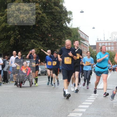 13.09.2026 - Kiel Lauf Markus Tischler http://msf.ph/oto/10340150 13.09.2026 11:04:17 Fleethörn 500, 5138, 9064, 3213 meine-sportfotos.de