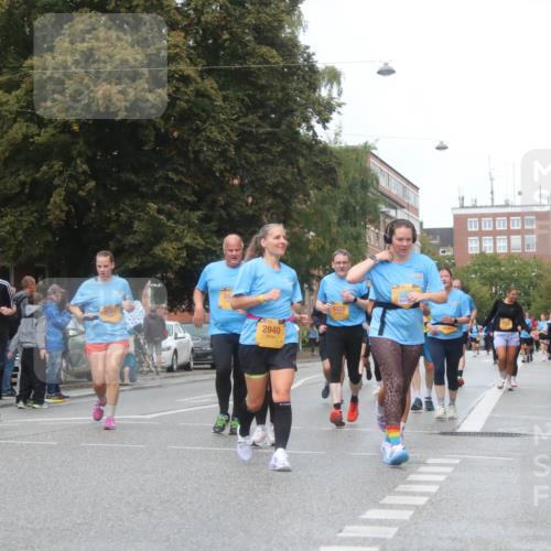 13.09.2026 - Kiel Lauf Markus Tischler http://msf.ph/oto/10340271 13.09.2026 11:04:37 Fleethörn 11, 9729, 2940, 5123 meine-sportfotos.de