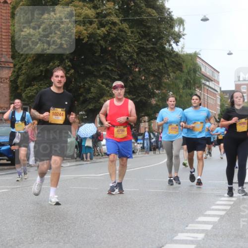 13.09.2026 - Kiel Lauf Markus Tischler http://msf.ph/oto/10340495 13.09.2026 11:05:41 Fleethörn 10244, 4709, 3536, 3798 meine-sportfotos.de