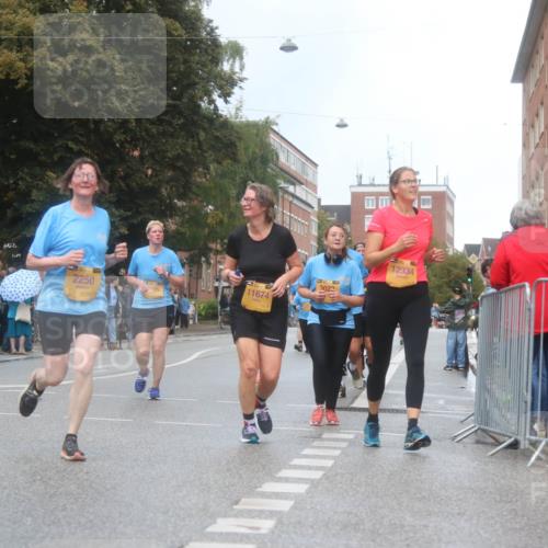 13.09.2026 - Kiel Lauf Markus Tischler http://msf.ph/oto/10340530 13.09.2026 11:05:55 Fleethörn 2250, 12334, 3022, 11674 meine-sportfotos.de