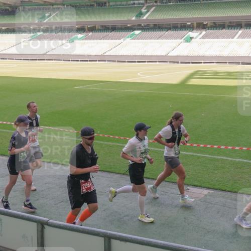 13.09.2026 - 21. swb-Marathon Bremen Michael Burmester http://msf.ph/oto/10340567 13.09.2026 13:21:20 Laufen im Stadion 128, 258, 351, 423, 441, 601, 620, 704, 782, 851, 1060, 1066, 1094, 1129, 1158, 1177, 1316, 1344, 1409, 1417, 1439, 1446, 1518, 1676, 1697, 1729, 1756, 1808, 1815, 1846, 2010, 2028, 2064, 2139, 2201, 2258, 2278, 2349, 2394, 2395, 2414, 2417, 2437, 2501, 2519, 2533, 2551, 2588, 2632, 2652, 2660, 2694, 2695, 2736, 2756, 2793, 2828, 2886, 2954, 2964, 2995, 3004, 3010, 3017, 3018, 3022, 3034, 3035, 3036, 3037, 3070, 3074, 3102, 3139, 3144, 3225, 3264, 3310 meine-sportfotos.de
