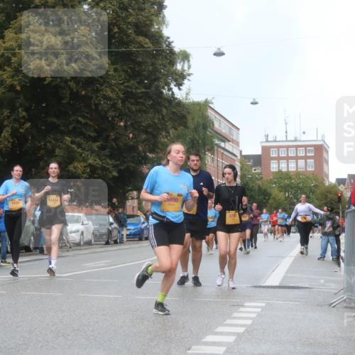 13.09.2026 - Kiel Lauf Markus Tischler http://msf.ph/oto/10340600 13.09.2026 11:06:23 Fleethörn 11114, 1170, 11442, 800, 3752, 1569 meine-sportfotos.de