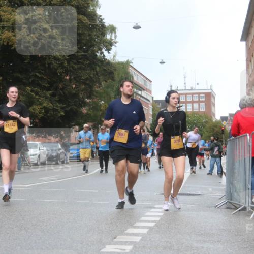 13.09.2026 - Kiel Lauf Markus Tischler http://msf.ph/oto/10340611 13.09.2026 11:06:25 Fleethörn 1170, 11442, 7681, 3752 meine-sportfotos.de
