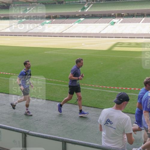 13.09.2026 - 21. swb-Marathon Bremen Michael Burmester http://msf.ph/oto/10340671 13.09.2026 13:21:36 Laufen im Stadion 128, 258, 343, 351, 423, 441, 601, 620, 704, 782, 851, 1060, 1094, 1129, 1158, 1177, 1316, 1344, 1409, 1417, 1439, 1446, 1518, 1657, 1669, 1676, 1697, 1729, 1808, 1846, 2010, 2064, 2139, 2201, 2258, 2278, 2290, 2349, 2394, 2395, 2414, 2417, 2437, 2501, 2519, 2551, 2588, 2619, 2632, 2652, 2660, 2685, 2711, 2736, 2793, 2828, 2886, 2954, 2964, 2995, 3004, 3010, 3017, 3018, 3022, 3034, 3035, 3036, 3037, 3070, 3074, 3102, 3139, 3144, 3225, 3264, 3351, 3682, 3784 meine-sportfotos.de