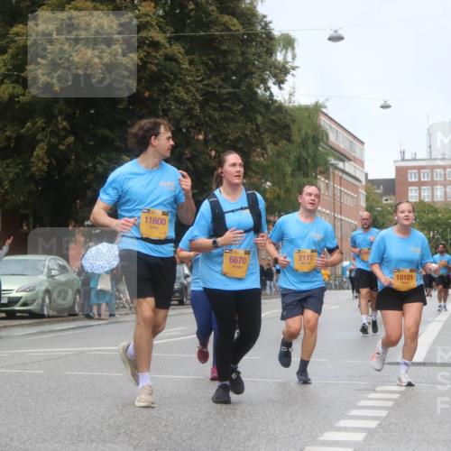 13.09.2026 - Kiel Lauf Markus Tischler http://msf.ph/oto/10340841 13.09.2026 11:07:48 Fleethörn 39, 11600, 39, 6670, 2177, 10101 meine-sportfotos.de