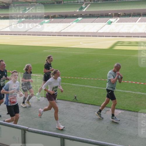 13.09.2026 - 21. swb-Marathon Bremen Michael Burmester http://msf.ph/oto/10341615 13.09.2026 13:23:44 Laufen im Stadion 137, 160, 182, 211, 324, 434, 533, 548, 571, 609, 708, 721, 739, 743, 752, 892, 1157, 1178, 1259, 1273, 1331, 1463, 1471, 1597, 1598, 1657, 1691, 1746, 1788, 1883, 1944, 2095, 2213, 2252, 2286, 2312, 2323, 2433, 2445, 2465, 2475, 2483, 2495, 2503, 2504, 2526, 2571, 2711, 2768, 2776, 2936, 2968, 3252, 3282, 3288, 3289, 3292, 3298, 3312, 3347, 3351, 3364, 3381, 3395, 3423, 3447, 3505, 3530, 3559, 3727, 3770, 3784, 3819, 4020, 4054, 4231, 4406, 4407, 4431, 4466, 4467, 4584 meine-sportfotos.de