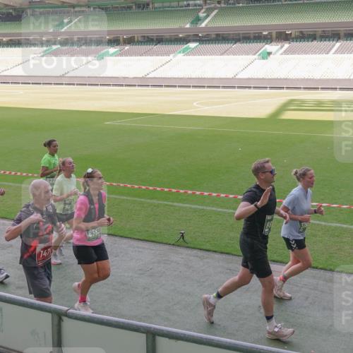 13.09.2026 - 21. swb-Marathon Bremen Michael Burmester http://msf.ph/oto/10342047 13.09.2026 13:24:54 Laufen im Stadion 137, 182, 213, 294, 324, 434, 505, 543, 548, 721, 723, 739, 743, 752, 815, 818, 966, 1273, 1410, 1443, 1459, 1463, 1471, 1491, 1504, 1515, 1561, 1597, 1598, 1830, 1944, 1953, 2058, 2059, 2095, 2211, 2252, 2267, 2271, 2286, 2308, 2312, 2323, 2354, 2445, 2465, 2483, 2495, 2497, 2503, 2506, 2554, 2571, 2591, 2644, 2752, 2762, 2768, 2776, 2833, 2878, 2896, 2936, 2968, 2981, 3005, 3142, 3211, 3259, 3282, 3288, 3289, 3292, 3298, 3306, 3312, 3329, 3364, 3381, 3390, 3395 meine-sportfotos.de